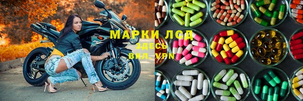 скорость Ладушкин