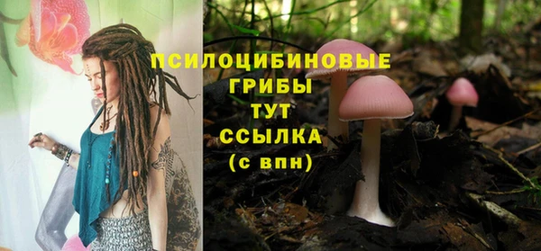 ешки Лиски