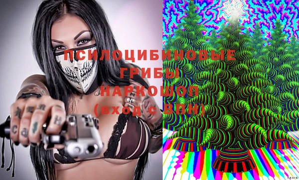 ешки Лиски