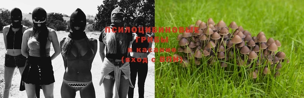винт Лихославль
