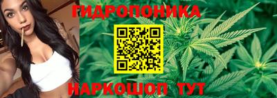 крисы Апшеронск