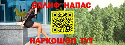 крисы Апшеронск