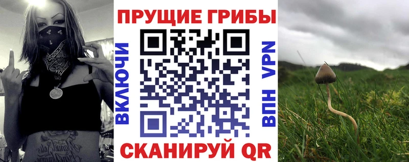 Псилоцибиновые грибы Cubensis  мориарти формула  Ханты-Мансийск  мега зеркало 