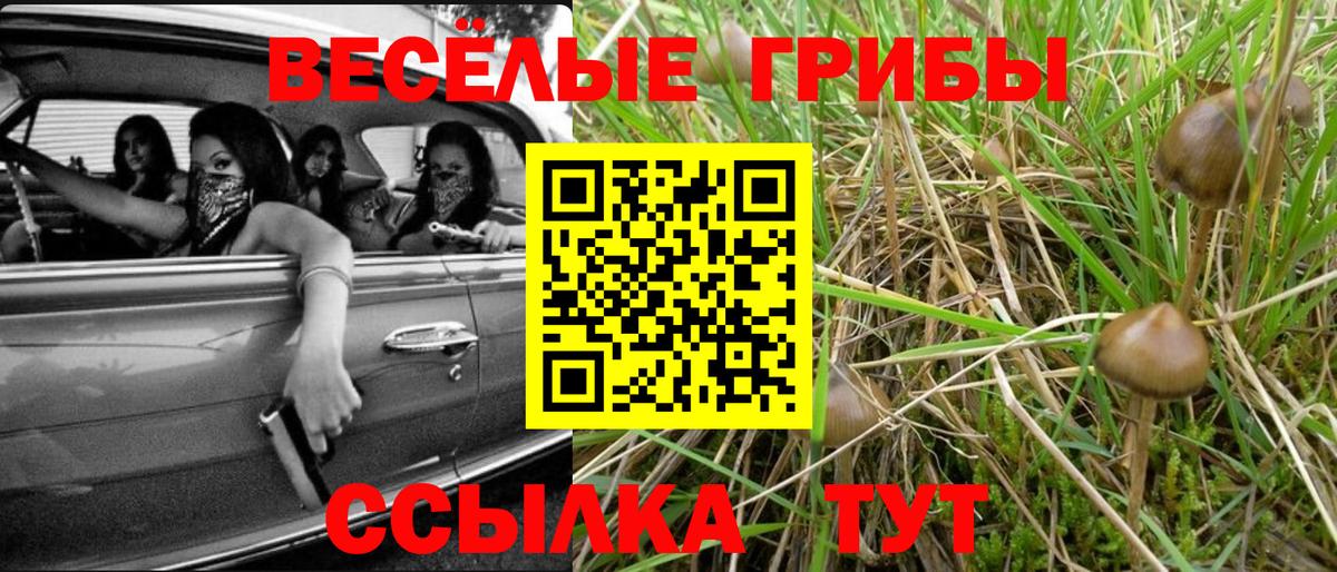Галлюциногенные грибы Psilocybine cubensis Ханты-Мансийск