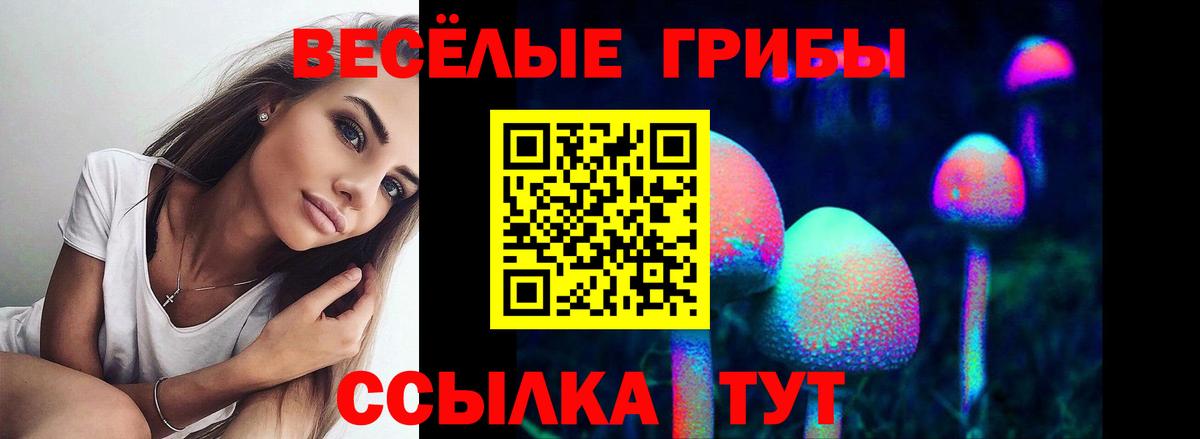 Псилоцибиновые грибы Psilocybine cubensis  Псилоцибиновые грибы MAGIC MUSHROOMS  Ханты-Мансийск 